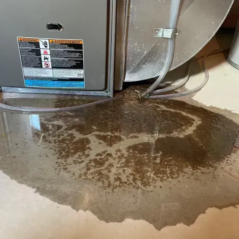 Appliance Leak Cleanup in Sumter County, FL